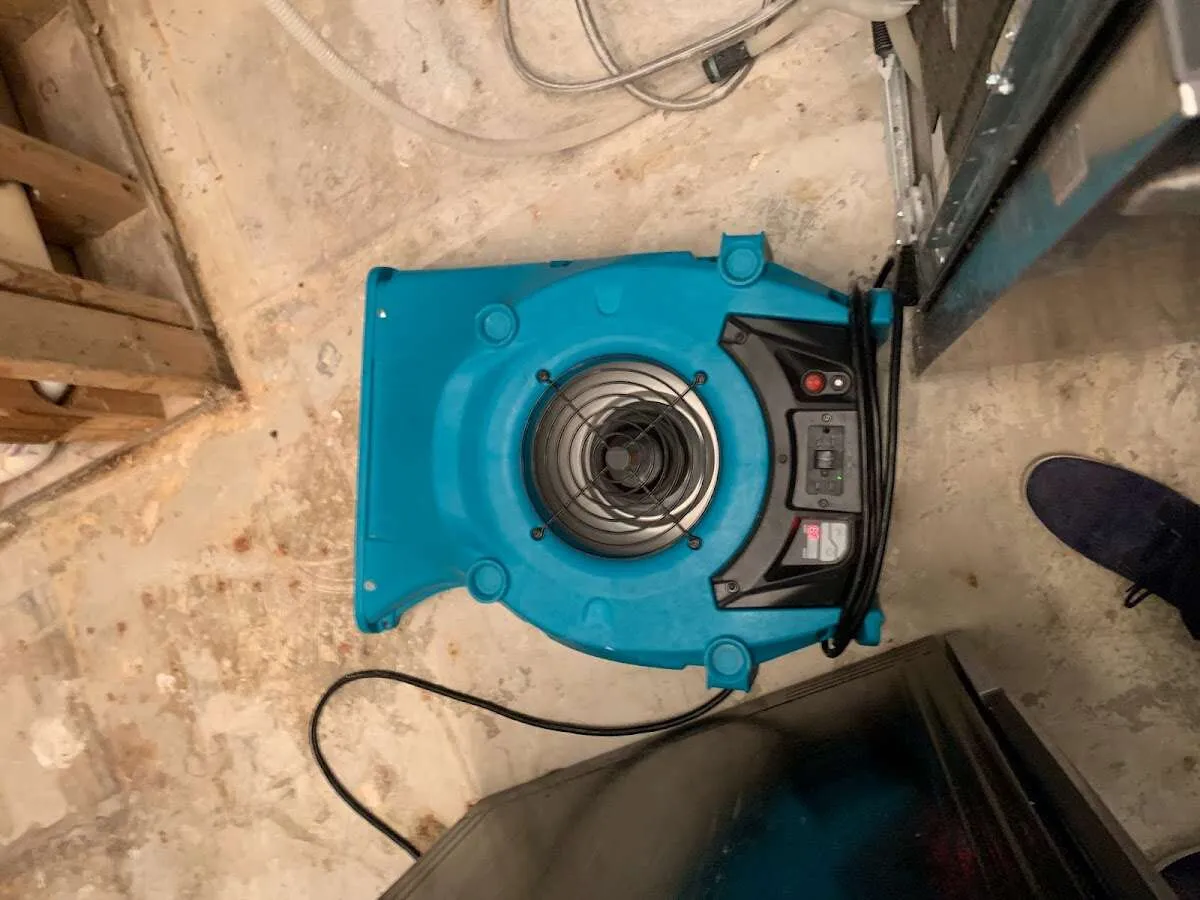 Air mover drying equipment for Mold Remediation & Removal in Collingdale