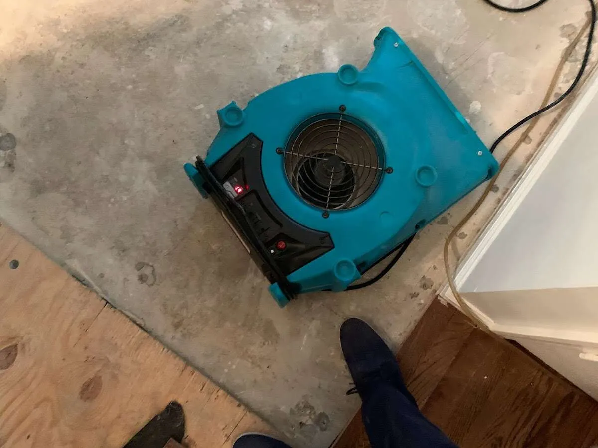 Air mover drying subfloor during Leak Detection & Repair in Collingdale